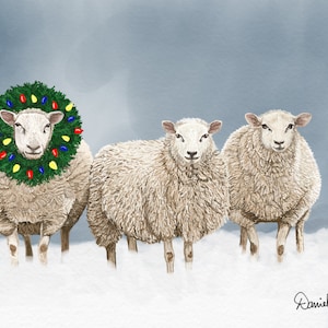 Sheep Christmas Card