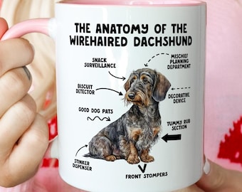Wirehaired Dachshund Anatomy Mug, Funny Sausage Dog Coffee Cup