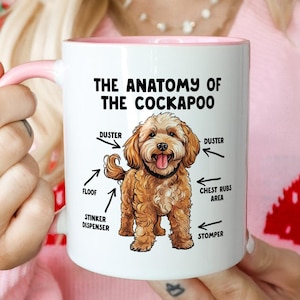Op de afbeelding: Een witte keramische mok met een roze binnenkant en handvat, voorzien van een grafische illustratie van een bruine Cockapoo-hond. De tekst luidt THE ANATOMY OF THE COCKAPOO met pijlen die wijzen naar verschillende lichaamsdelen gelabeld als Duster, Floof, Stinker Dispenser en Stomper.