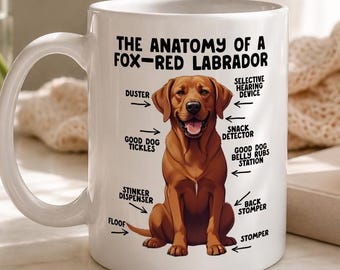 Fox Red Labrador Anatomy Coffee Mug - Funny Dog Mum Gift