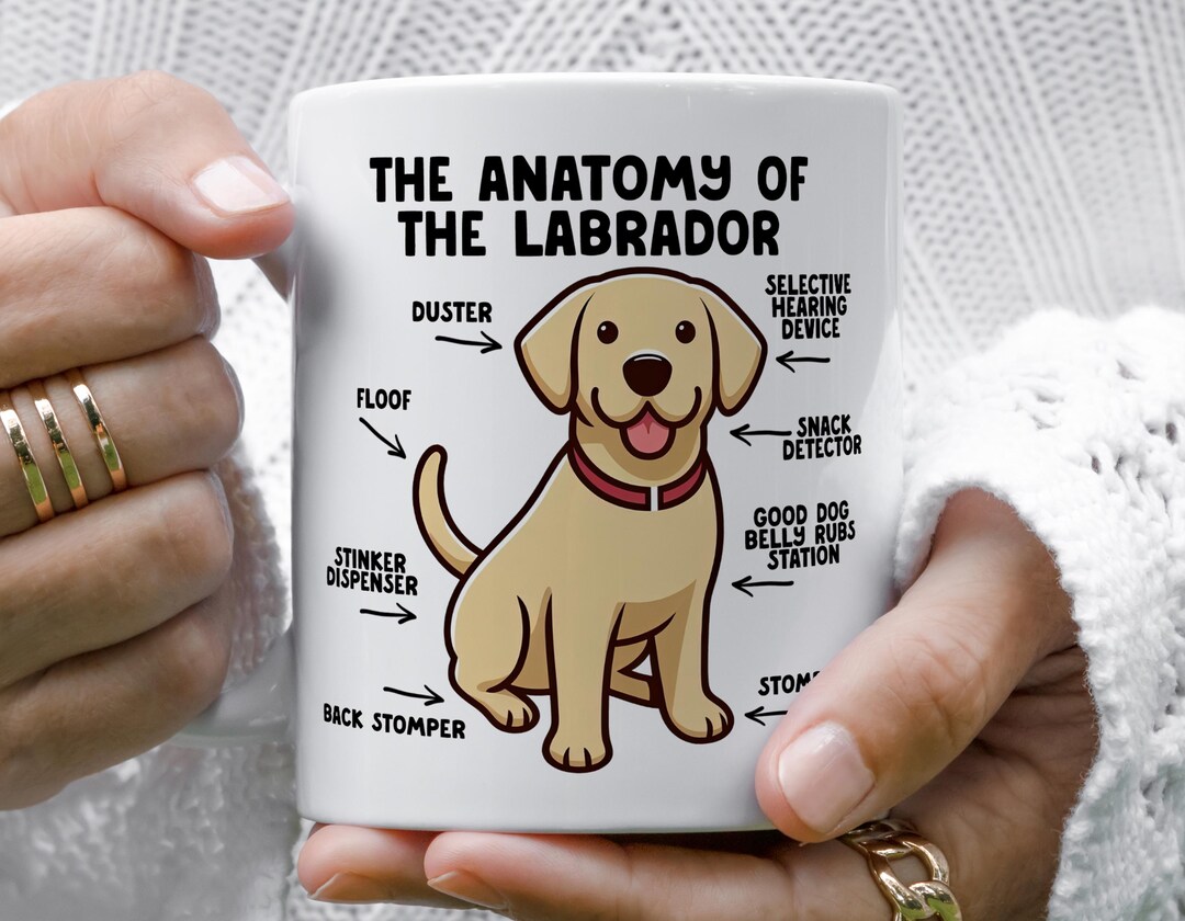 Golden Labrador Retriever Anatomy Mug, Yellow Labrador Gift, Lab Dad ...