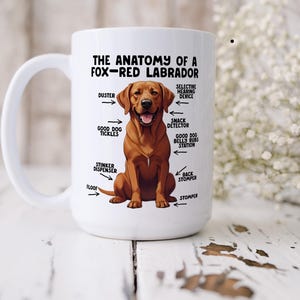 an 15oz ceramic mug showcasing a graphic of a fox-red Labrador, with various arrows pointing around it's body at labelled parts including 'good dog tickles' at his chest, 'duster' at his ear, 'stinker dispenser' at his bum and 'stomper' at his leg.