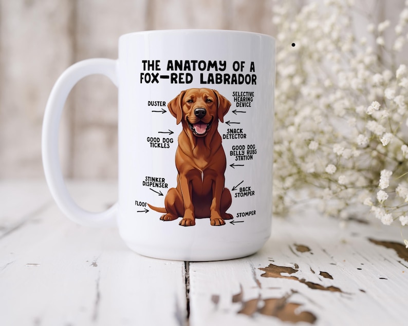 an 15oz ceramic mug showcasing a graphic of a fox-red Labrador, with various arrows pointing around it's body at labelled parts including 'good dog tickles' at his chest, 'duster' at his ear, 'stinker dispenser' at his bum and 'stomper' at his leg.