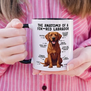 an 11oz ceramic mug, with a black handle, showcasing a graphic of a fox-red Labrador, with various arrows pointing around it's body at labelled parts including 'good dog tickles' at his chest, 'duster' at his ear, 'stinker dispenser' at his bum and 'stomper' at his leg.