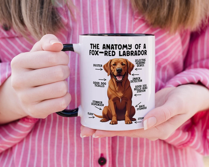an 11oz ceramic mug, with a black handle, showcasing a graphic of a fox-red Labrador, with various arrows pointing around it's body at labelled parts including 'good dog tickles' at his chest, 'duster' at his ear, 'stinker dispenser' at his bum and 'stomper' at his leg.