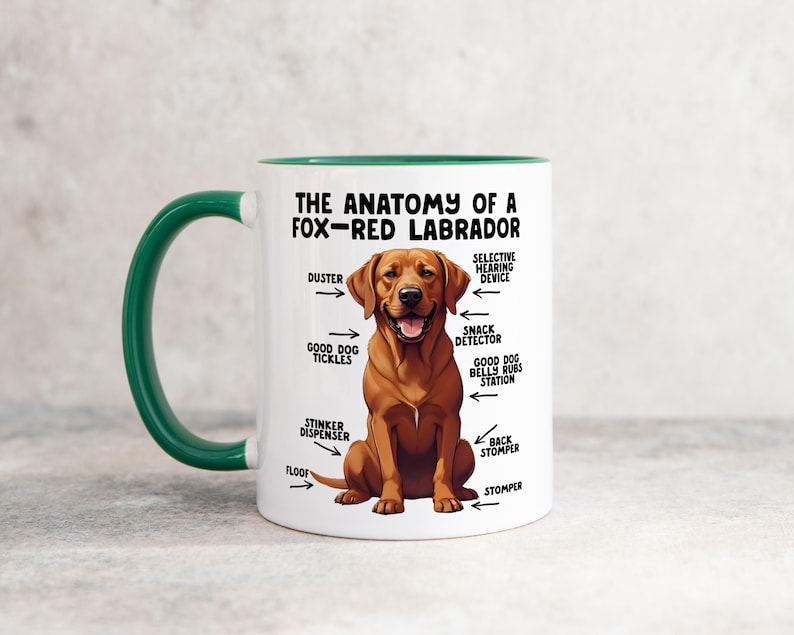 an 11oz ceramic mug, with a dark-green handle, showcasing a graphic of a fox-red Labrador, with various arrows pointing around it's body at labelled parts including 'good dog tickles' at his chest, 'duster' at his ear, 'stinker dispenser' at his bum and 'stomper' at his leg.