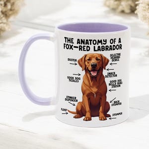 Könnte beinhalten: Weißer Keramikbecher mit helllila Innenraum und Henkel. Der Becher zeigt eine braune Labrador-Illustration mit beschrifteter Anatomie. Der Text enthält "The Anatomy of a Fox-Red Labrador" und humorvolle Beschriftungen.