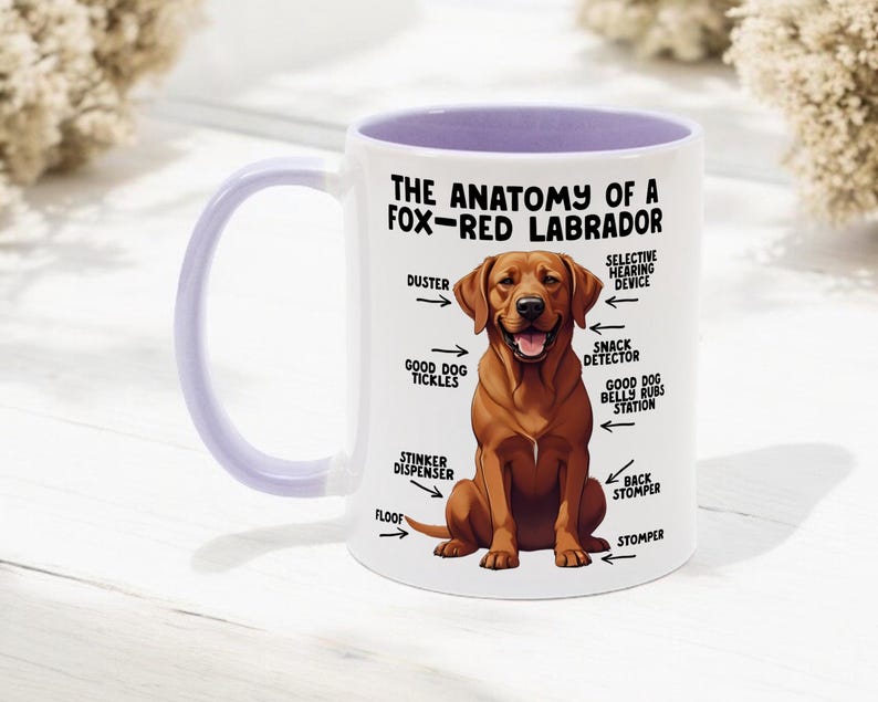 an 11oz ceramic mug, with a lilac  handle, showcasing a graphic of a fox-red Labrador, with various arrows pointing around it's body at labelled parts including 'good dog tickles' at his chest, 'duster' at his ear, 'stinker dispenser' at his bum and 'stomper' at his leg.