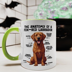 an 11oz ceramic mug, with a light-green handle, showcasing a graphic of a fox-red Labrador, with various arrows pointing around it's body at labelled parts including 'good dog tickles' at his chest, 'duster' at his ear, 'stinker dispenser' at his bum and 'stomper' at his leg.