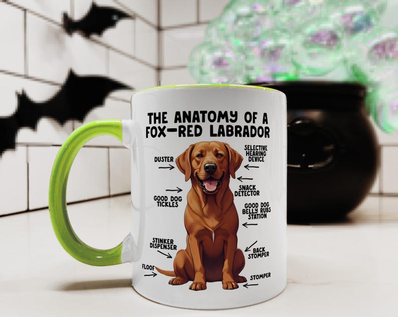an 11oz ceramic mug, with a light-green handle, showcasing a graphic of a fox-red Labrador, with various arrows pointing around it's body at labelled parts including 'good dog tickles' at his chest, 'duster' at his ear, 'stinker dispenser' at his bum and 'stomper' at his leg.