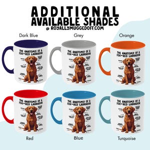Various 11oz ceramic mugs, with different coloured handles, showcasing a graphic of a fox-red Labrador, with various arrows pointing around it's body at labelled parts including 'good dog tickles' at his chest, 'duster' at his ear, 'stinker dispenser' at his bum and 'stomper' at his leg.