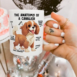 Taza con anatomía de Cavalier King Charles Spaniel, taza con Blenheim Ruby Cavalier Spaniel, divertida taza para mamá Cavalier, regalo para amantes de los perros para mamás de perros.