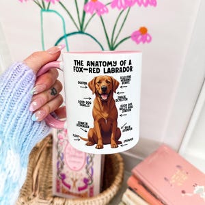 an 11oz ceramic mug, with a pink handle, showcasing a graphic of a fox-red Labrador, with various arrows pointing around it's body at labelled parts including 'good dog tickles' at his chest, 'duster' at his ear, 'stinker dispenser' at his bum and 'stomper' at his leg.