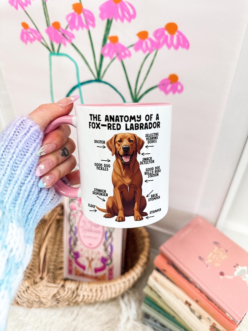 an 11oz ceramic mug, with a pink handle, showcasing a graphic of a fox-red Labrador, with various arrows pointing around it's body at labelled parts including 'good dog tickles' at his chest, 'duster' at his ear, 'stinker dispenser' at his bum and 'stomper' at his leg.