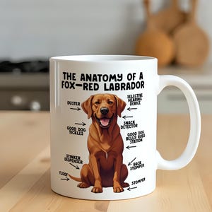 Könnte beinhalten: Weiße Keramiktasse mit einer Illustration eines fuchsroten Labradors und anatomischen Beschriftungen. Der Text auf der Tasse lautet "THE ANATOMY OF A FOX-RED LABRADOR" mit Beschriftungen wie "Duster" und "Snack Detector".