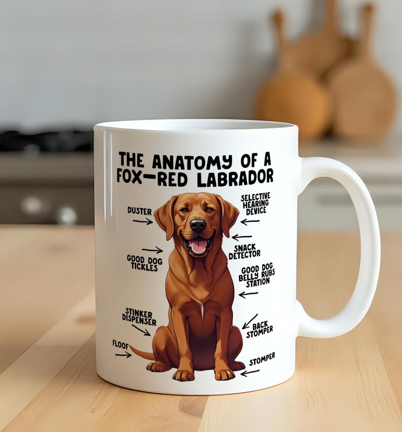 an 11oz ceramic mug showcasing a graphic of a fox-red Labrador, with various arrows pointing around it's body at labelled parts including 'good dog tickles' at his chest, 'duster' at his ear, 'stinker dispenser' at his bum and 'stomper' at his leg.