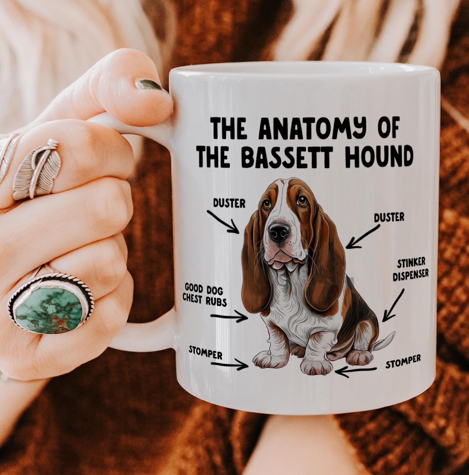Regalo basset hound España