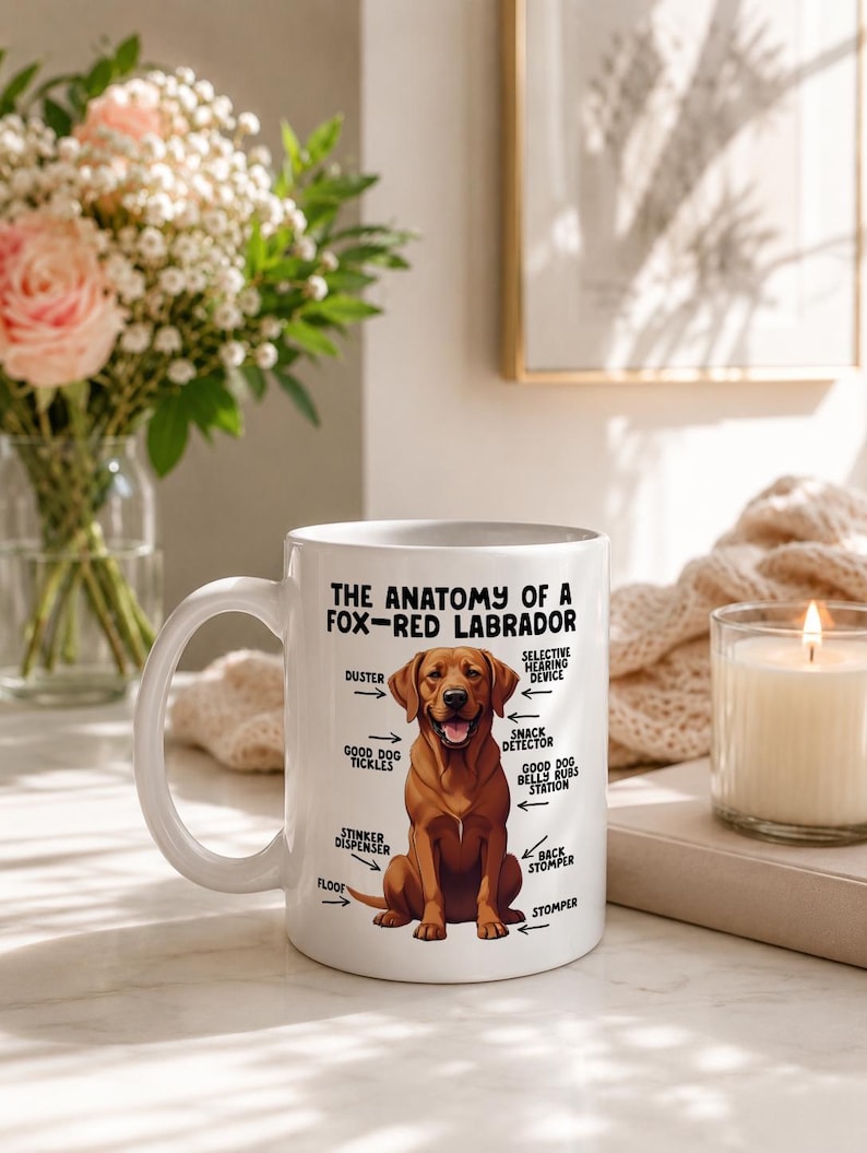 May include: A white ceramic mug featuring a graphic illustration of a fox-red Labrador dog. The text reads: THE ANATOMY OF A FOX-RED LABRADOR, with arrows pointing to body parts labeled DUSTER, SELECTIVE HEARING DEVICE, SNACK DETECTOR, GOOD DOG TICKLES, GOOD DOG BELLY RUBS STATION, STINKER DISPENSER, BACK STOMPER, FLOOF, and STOMPER.