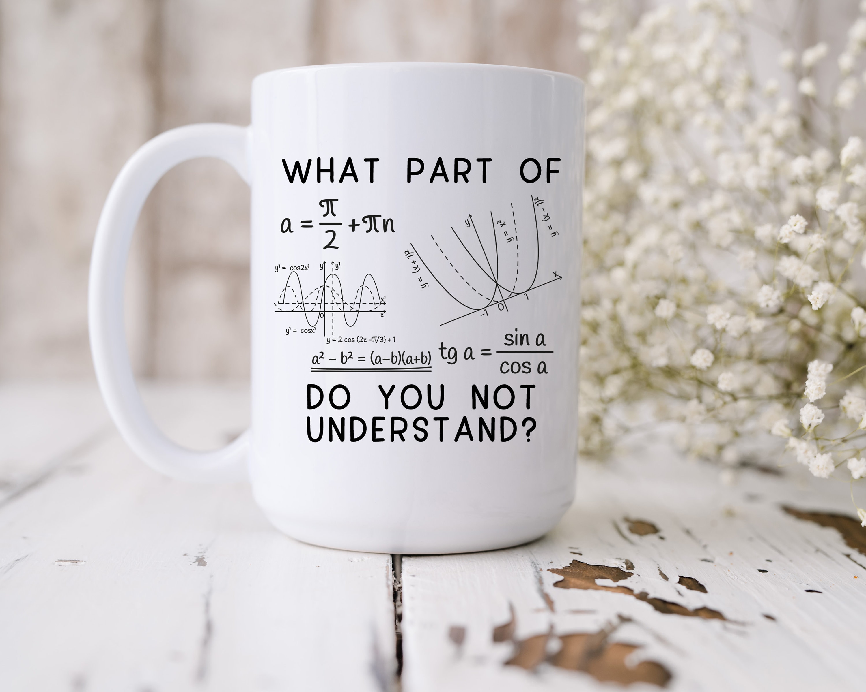 Math Favors Funny Math Teacher Mug, Gift for Math Geek, Algebra Teacher Gift, Math ...