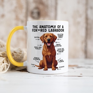 an 11oz ceramic mug, with a yellow handle, showcasing a graphic of a fox-red Labrador, with various arrows pointing around it's body at labelled parts including 'good dog tickles' at his chest, 'duster' at his ear, 'stinker dispenser' at his bum and 'stomper' at his leg.