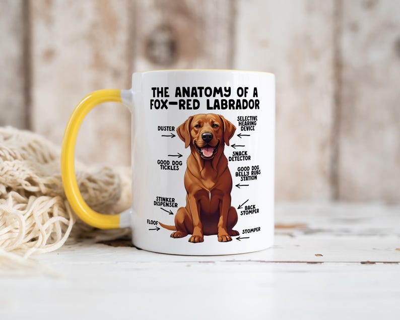 an 11oz ceramic mug, with a yellow handle, showcasing a graphic of a fox-red Labrador, with various arrows pointing around it's body at labelled parts including 'good dog tickles' at his chest, 'duster' at his ear, 'stinker dispenser' at his bum and 'stomper' at his leg.
