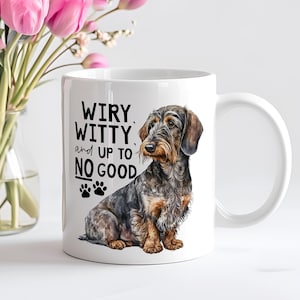 Wirehaired Dachshund Gift, Sausage Dog Mug, Wiener Coffee Mug, Dog Lover Gift, Dog Mum Mug, Gift for Longhaired Dachshund Owner.
