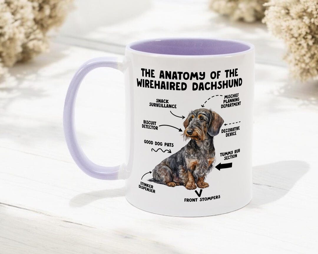 The Anatomy of the Wirehaired Dachshund Gift, Sausage Dog