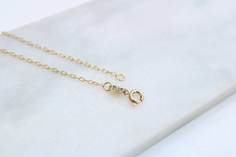 Pu&ograve; includere: Una collana a catena dorata con chiusura a moschettone. La catena &egrave; composta da piccoli cerchi collegati.
