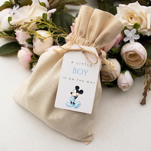 May include: A beige drawstring bag with a tag that reads "A Little Boy Is On The Way" and features a Mickey Mouse illustration. The bag is tied with twine and set against a backdrop of white and pink roses.