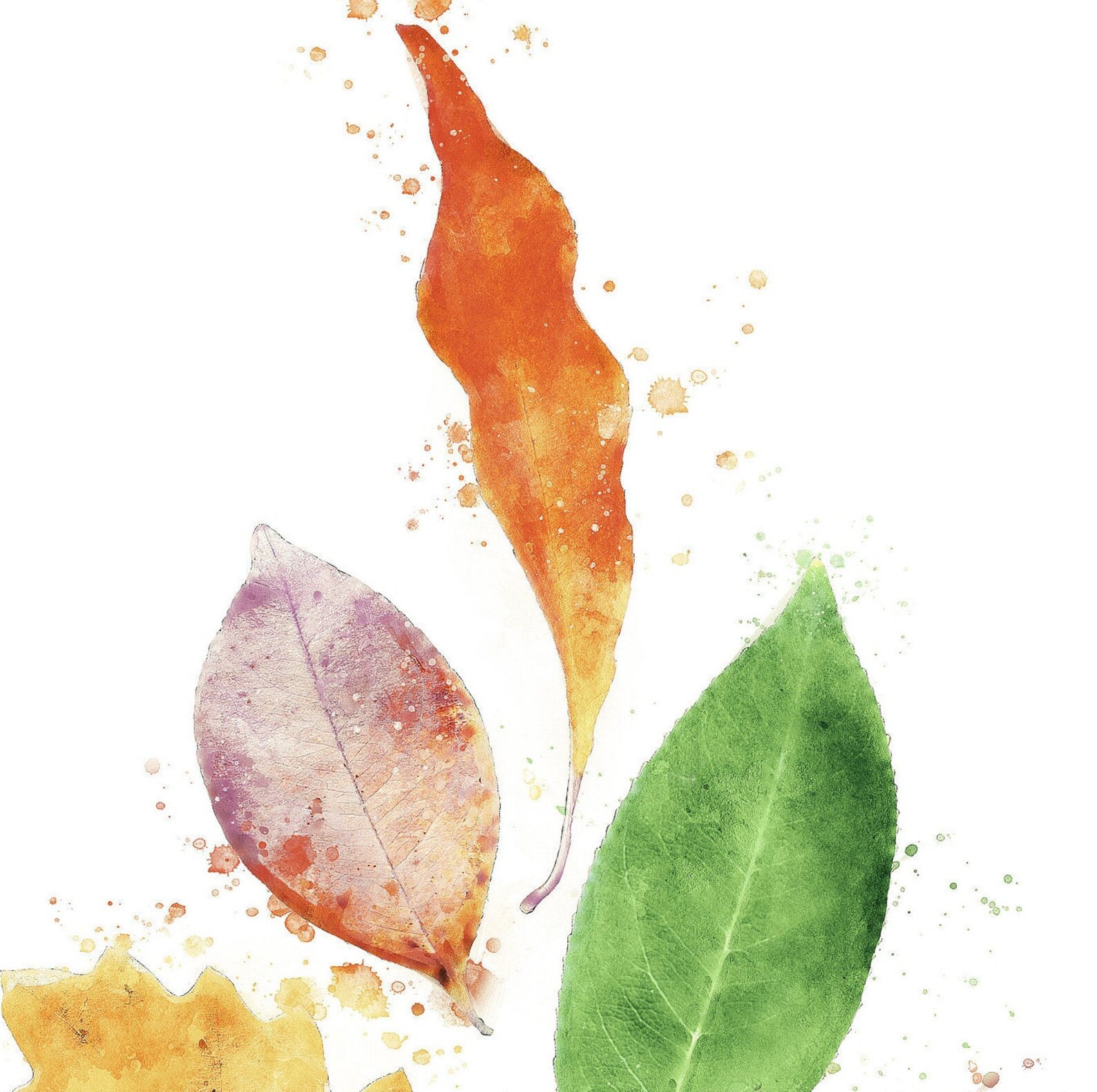 Abstract Botanical Leaves Print Watercolor Painting and Etsy