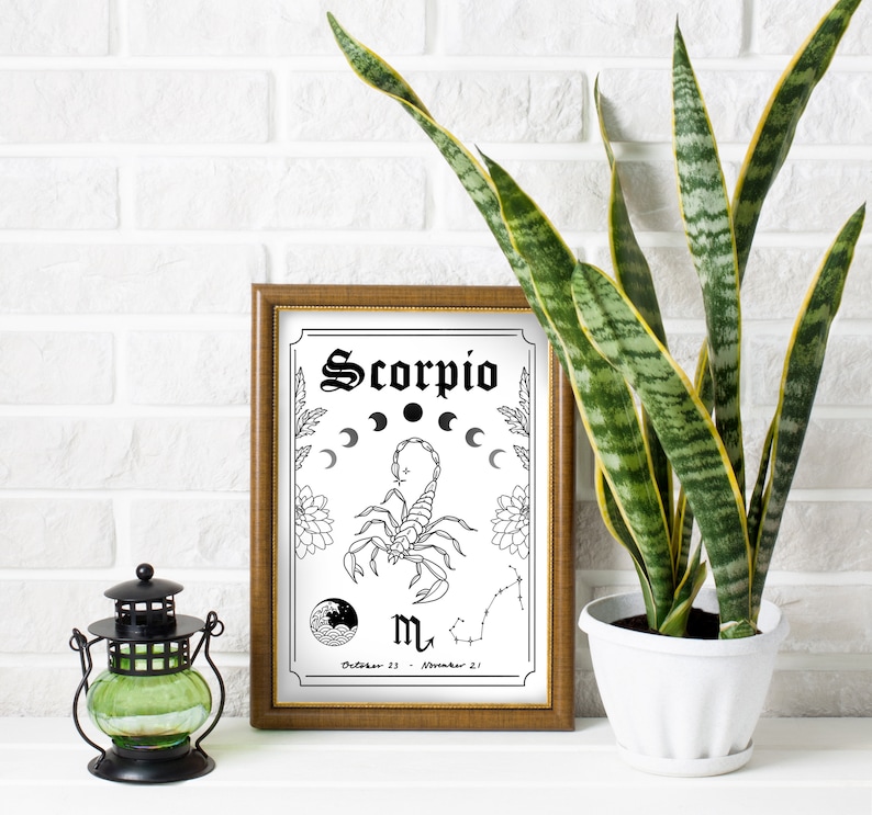 Scorpio Zodiac Astrology Art Print Water Star Sign Unique Gift Scorpion Boho Gallery Wall Decor image 4