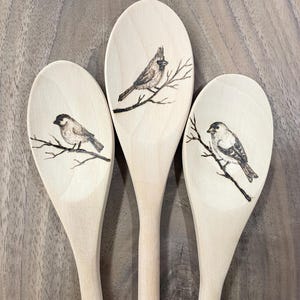 Birds, bluejay, sparrow spoons