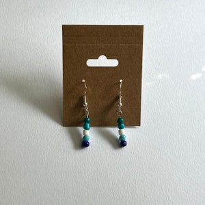 gay/mlm flag earrings