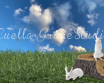 Spring Easter digital background