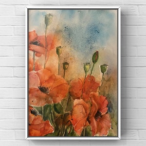 Papaveri in fiore (blooming poppies)