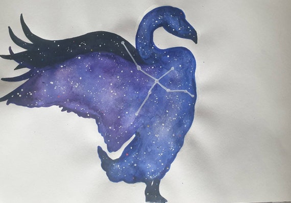 Swan Star Animal Constellation Cards and Prints Cygnus the Star Swan Greetings Cards