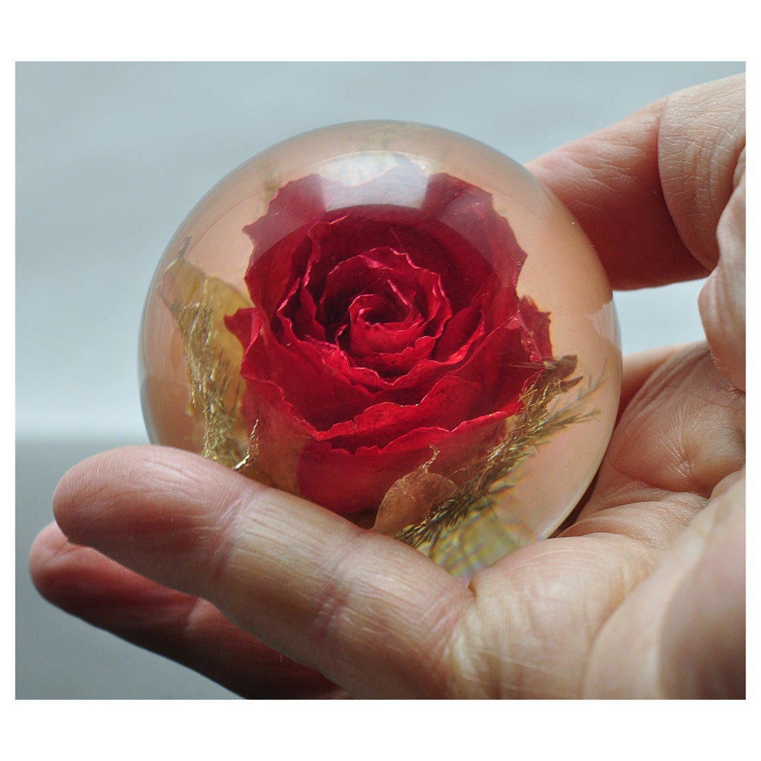 Vintage Lucite Hafod Grange Red Rose Paperweight Ornament Etsy