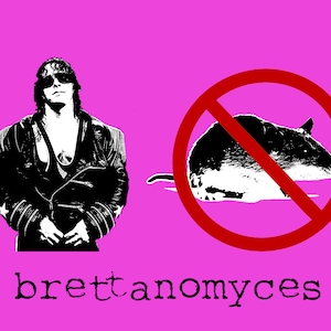 Brettanomyces Sour Beer Print Digital File