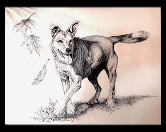 Unique pet portraits