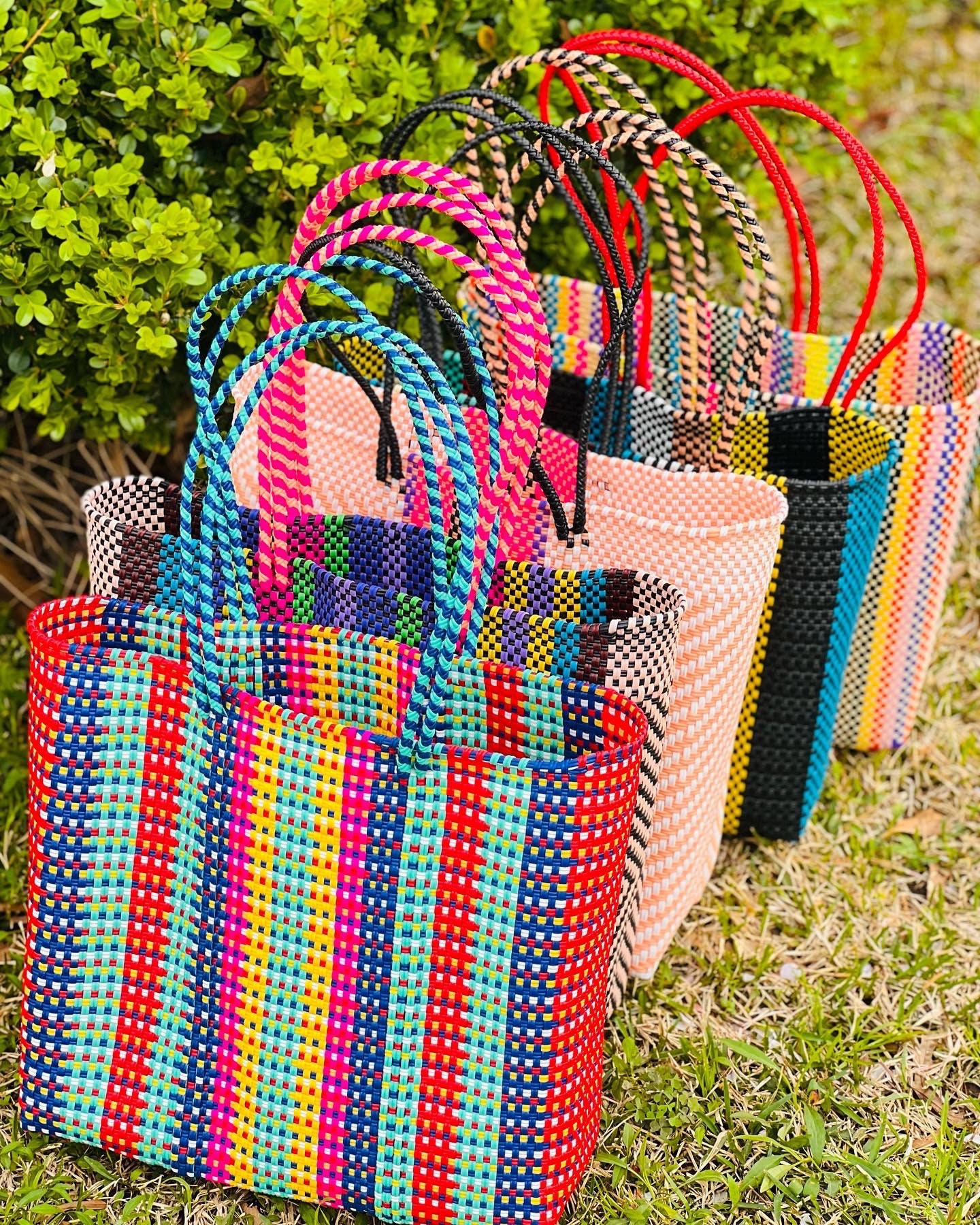 Vinyl Market Tote Bag, Oaxaca - Blue, Luna - Bryant Family Farms