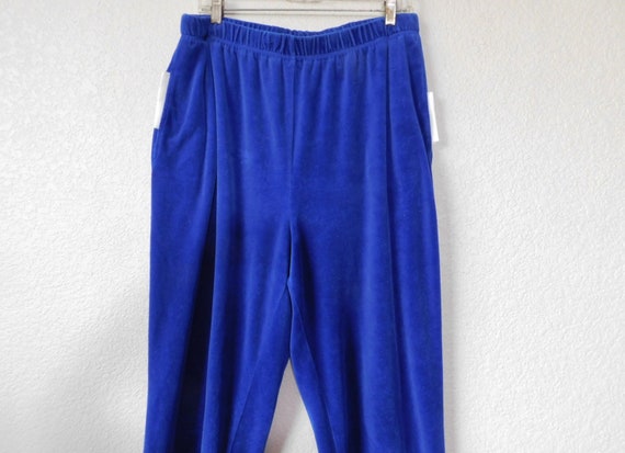 Princess size 1X plus blue velvet pants/elastic w… - image 2