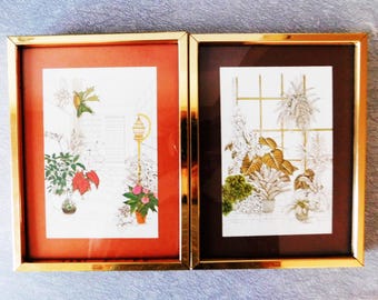 Vintage F Massa 2 solarium botanical lithograph -potted housepants framed wall deco