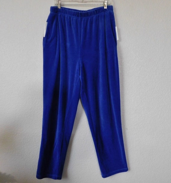 Princess size 1X plus blue velvet pants/elastic w… - image 1