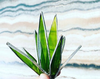 Stained Glass Aloe Plant