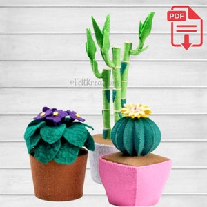 Set di modelli di piante in vaso in feltro Tutorial in feltro - Modello in feltro Cactus viola africana Lucky Bamboo PDF Tutorial modello di cucito (download immediato)