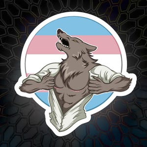 May include: A gray wolf with a human torso is ripping open a white shirt to reveal its chest. The wolf is standing in front of a blue, pink, and white transgender pride flag.