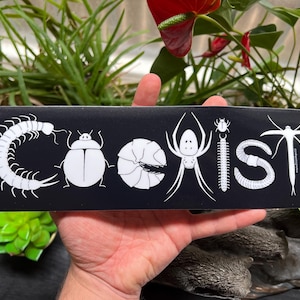 Coexist Bugs Bumper Sticker/magnet - Etsy