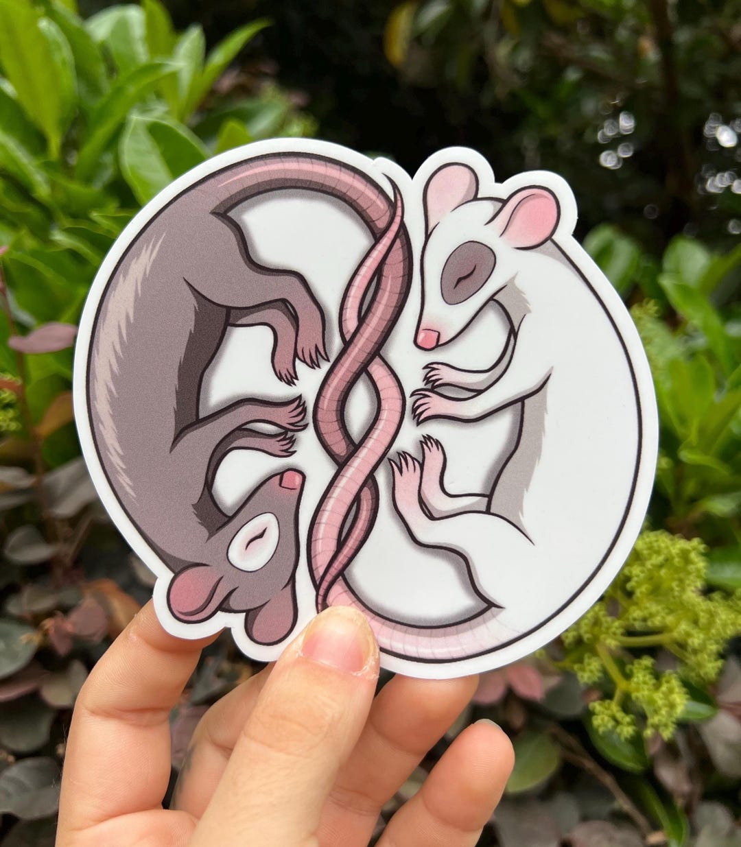 Range Rats Sticker Intertwined Rats Sticker - Etsy