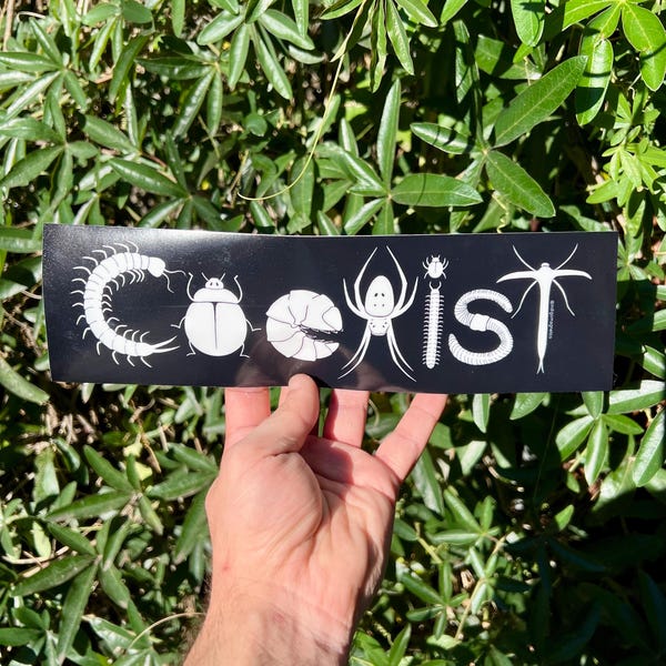 Coexist Bugs Bumper Sticker/Magnet
