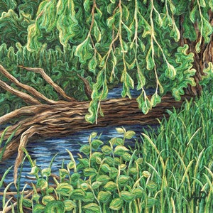 Overgrown Nature Scene Giclee Print